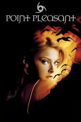 《海角惊魂》第一季:迷雾笼罩,真相深埋的悬疑佳作